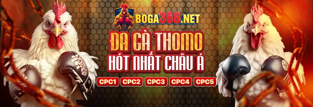 Sân vận động với trận đấu bóng đá sôi động, thể hiện cá cược thể thao tại hay88 login